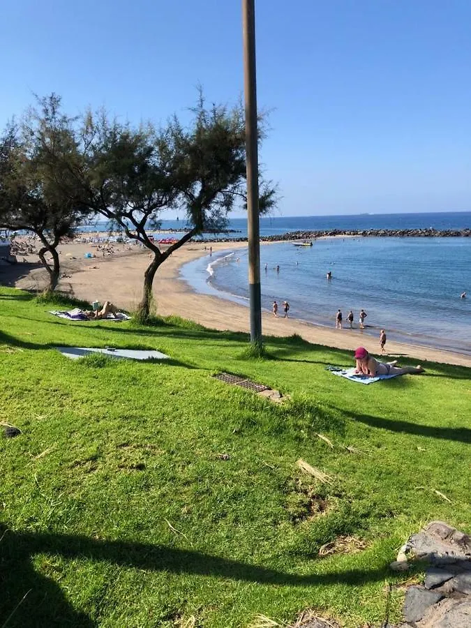 Las Americas Green Beach Playa de las Americas  Spain